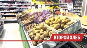 До 70 килограммов картофеля съедает каждый житель Иркутской области за год