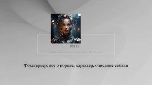 Фокстерьер: все о породе, характер, описание собаки