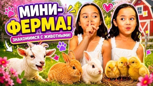 🍿 Нашли мини-ферму! Кто там живёт? 🐐🐰🐥