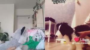 мини дуэт
мой акк в ʟɪᴋᴇᴇ
🐾ᴇʟsᴀ•ᴇssᴀ🍧