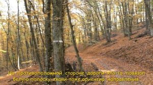 Поход на развалины древнего монастыря Сурб-Степанос.