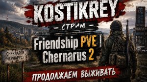 Играю на проекте Friendship PVE | Chernarus 2 #dayz #pve #dayzpve