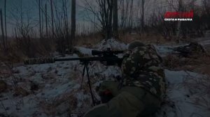 Амурский лось. Российский суперкубок.