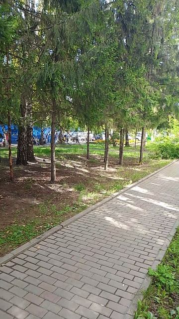 Погоня в Барнауле
