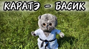 БАСИК - КАРАТИСТ/СЕМЕЙКА КОТОБАСИКОВ