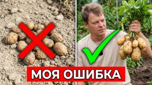 21 картофелина с куста! Что я сделал не так, а что — правильно