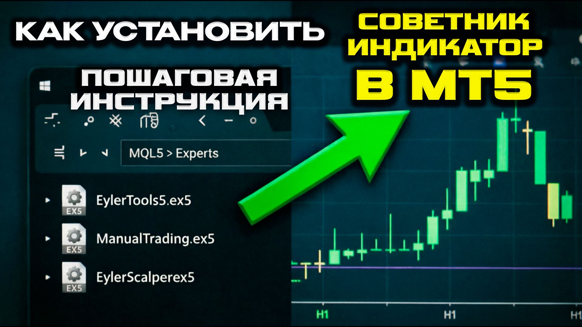 Как установить советник  и индикатор на MetaTrader 5 ПОШАГОВО ДЛЯ НОВИЧКОВ  Полная инструкция