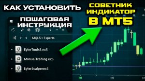 Как установить советник  и индикатор на MetaTrader 5 ПОШАГОВО ДЛЯ НОВИЧКОВ  Полная инструкция