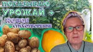 Показываю урожай, помидоры, картофель, тыквы. Сад цветёт!