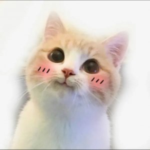 не знаю что написать