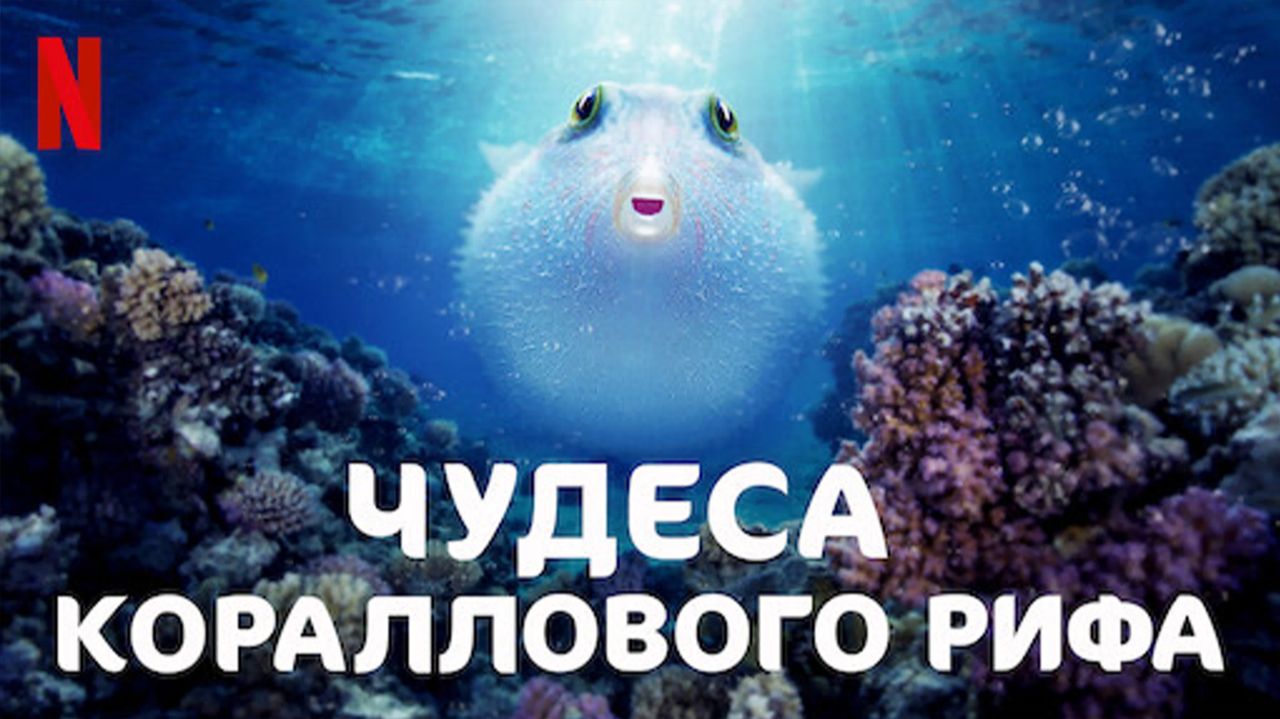 Чудеса кораллового рифа (фильм, 2021) / Puff: Wonders Of The Reef