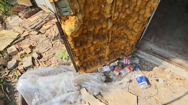 Мансур Сакпанов. ВСЕ ЖИВЫ КРОМЕ МУХ 😳 ИВАНЫЧ ЗАСТАВИЛ ФЕДЮ МЫТЬСЯ ... ГОТОВ ЛИ МИХАЙЛОВИЧ
