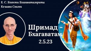 ШБ 2.5.23 / ББ Кешава Свами