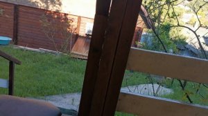 СОЧИ ГОРНОЕ ЛОО ВЕЧЕР 19.08.2026