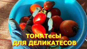 172. Красим конструкцию, собираю урожай для деликатеса