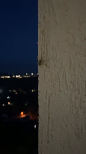 Паучок 🕸️