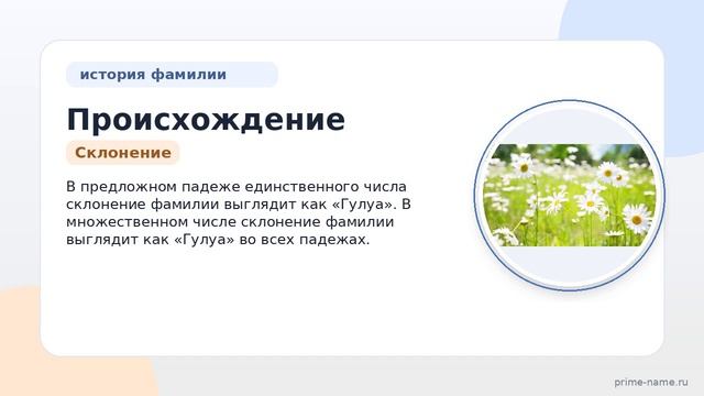 Происхождение и значения фамилии Гулуа: все, что вам нужно знать о склонении исторически значимой