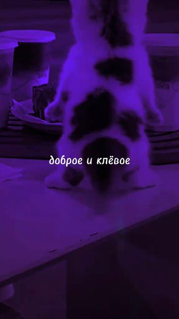 пивное пузико как у телепузика 😁