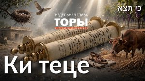 раздел Торы «Ки теце» с раввином Исраэлем Айзеншарфом