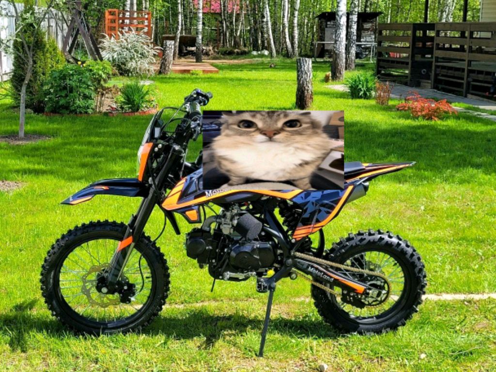 СТРИМ