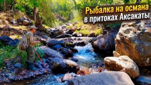 Ловля Османа в притоках Аксакаты, Узбекистан