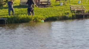 MOV_20260819_202949_119