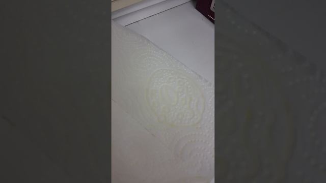 пытаюсь вырастить дуб в домашнях условиях 1 часть