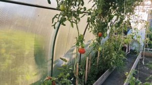МУЖ С ПОМОЩНИЦЕЙ ДЕЛАЮТ ДОРОЖКУ,Я КОНСЕРВИРУЮ ПОМИДОРЫ 🍅