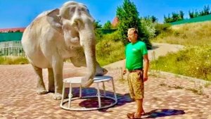 Магда ВСЕ ПОМНИТ! Люди хлопали в ладоши и кричали ей и Олегу Зубкову -«БРАВО!!!»❤️