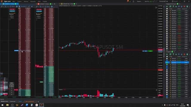 (16) Short Capusdt Aprusdt