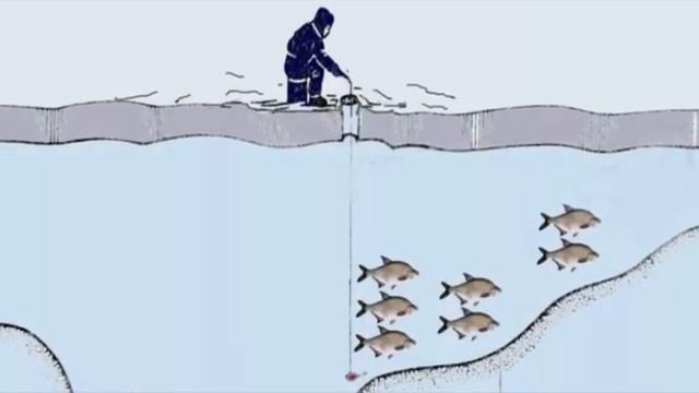 Почему самый крупный Лещ зимой ловится именно в сильный мороз?