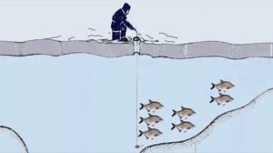Почему самый крупный Лещ зимой ловится именно в сильный мороз?