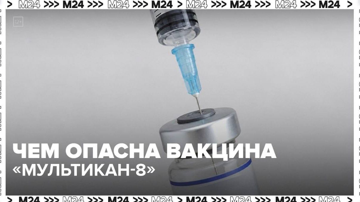 Производитель отозвал серию вакцин для собак 