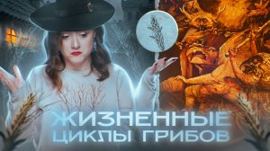 ЖИЗНЕННЫЕ ЦИКЛЫ ГРИБОВ | Все типы размножения грибов | ЕГЭ-2025 по биологии