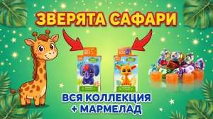 SWEET BOX ЗВЕРЯТА САФАРИ: КТО НАМ ПОПАЛСЯ? Жирафик Рафик, Мартышка Мотя или Лев Лёва? и Мармелад!