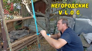 Выходной селянина. 16.08.26