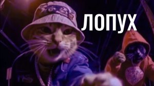 Прикольная песня, /ЛОПУХ 👍🔥🤣💩