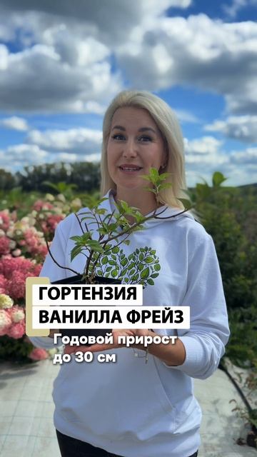 Что вырастет из саженца через 2–3 года? Вы удивитесь разнице