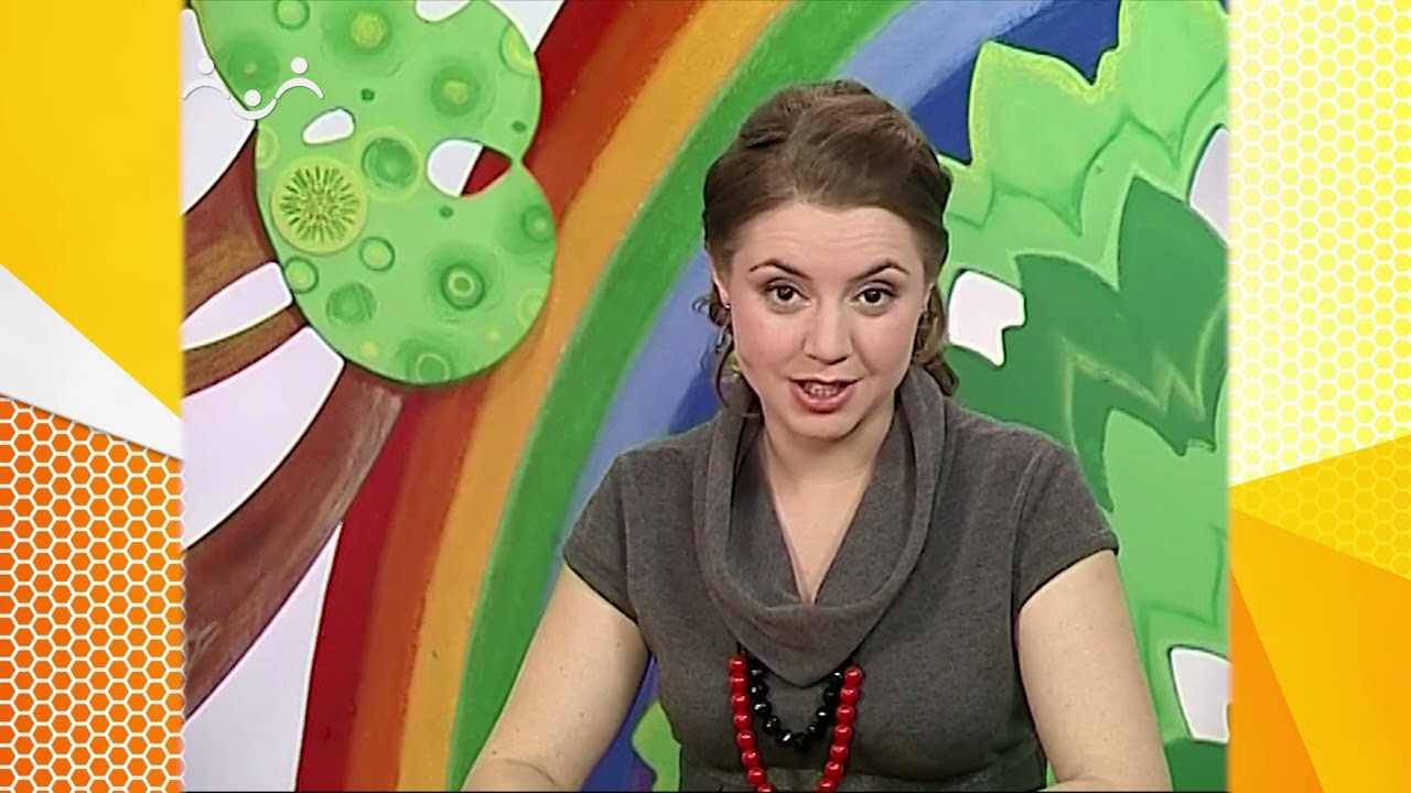 Школа Шишкиного Леса. Природоведение. Что такое вулкан
