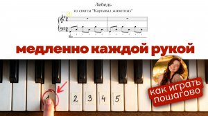«Лебедь» - красивая классика - РАЗБОР ДЛЯ НАЧИНАЮЩИХ  медленно каждой рукой