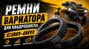 Ремни Вариатора  для квадроцикла Can-Am Brp Outlander, Stels Guepard, Русская механика 800