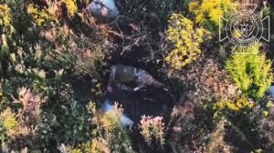 ☠️Пейзажи Харьковского приграничья