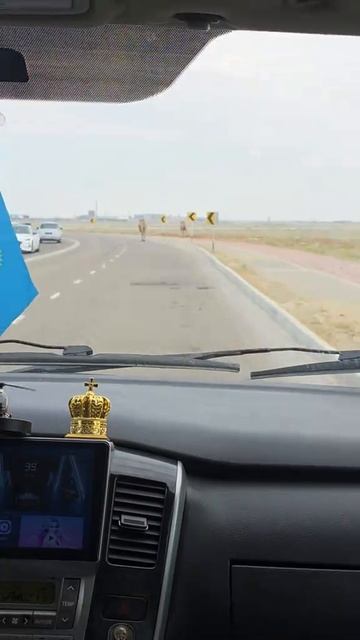 будьте внимательны, на дорогах новые участники дорожного движения 😅