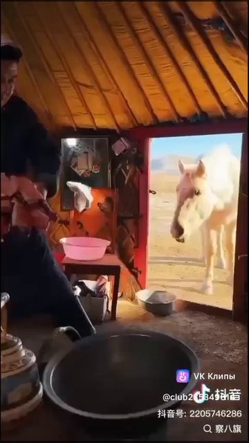 Клип @vkusnayhca