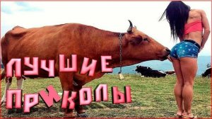 ПОПРОБУЙ НЕ РАССМЕЯТЬСЯ 😆 Самые смешные моменты в истории 😂