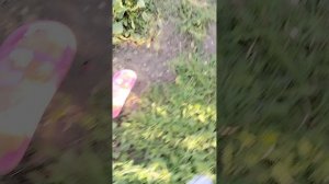 4844.mp4