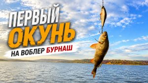 Просто моменты с рыбалки. Первый окунь на воблер БУРНАШ. #fishing #рыбалка