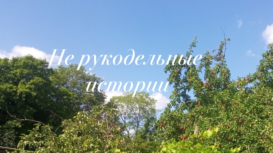 Собираем урожай и потихоньку наводим порядки.