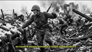 Её «ДЕТСКАЯ» рогатка казнила РОТУ СС. Снайперы Рейха БОЯЛИСЬ снимать каски… ШОК.