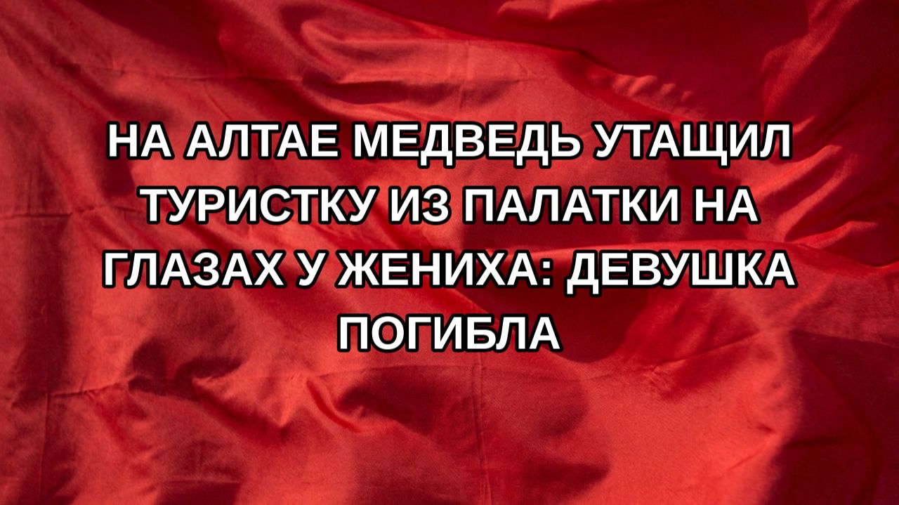 На Алтае медведь утащил туристку из палатки на глазах у жениха: девушка погибла